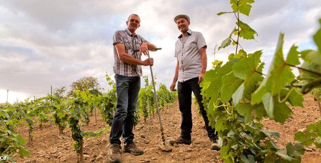 Les frères viticulteurs