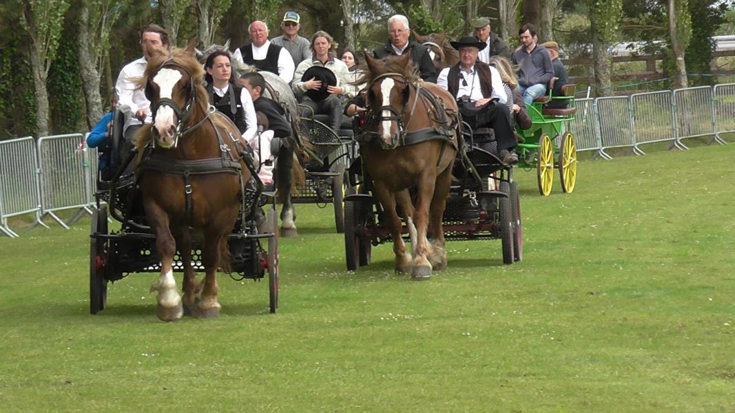 courses hippiques quimperlé