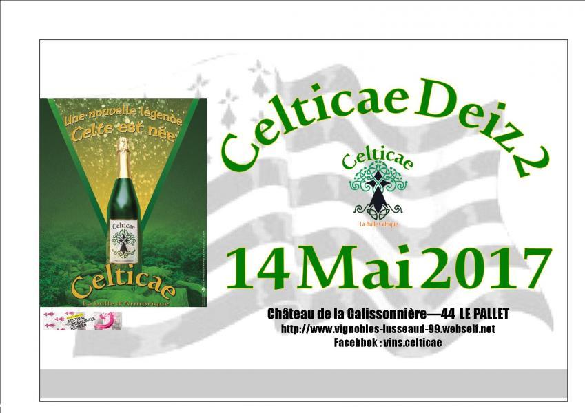 celticae deiz 2