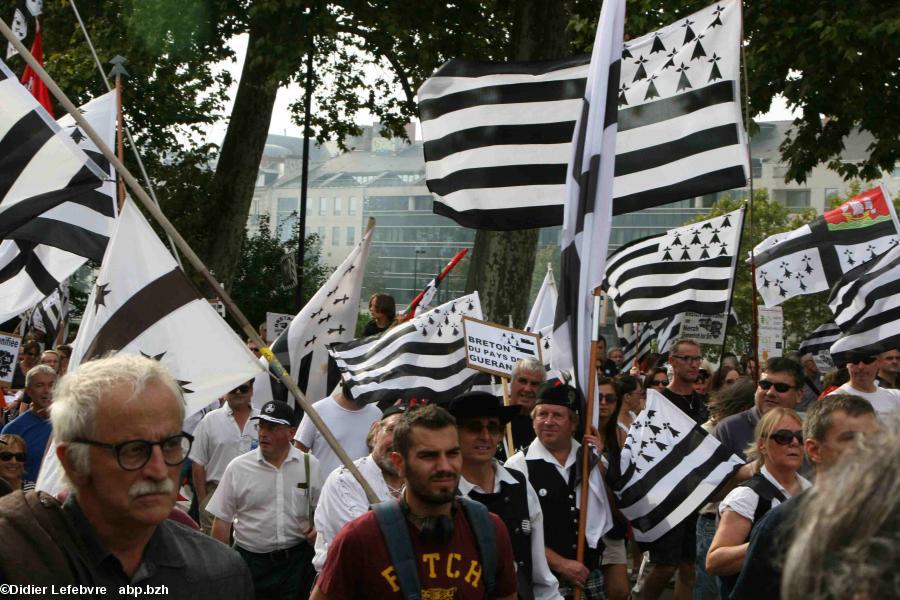 La Breizh Manif 2016 : devant le CG44, l'enveloppe (voir photo suivante) attire les regards.