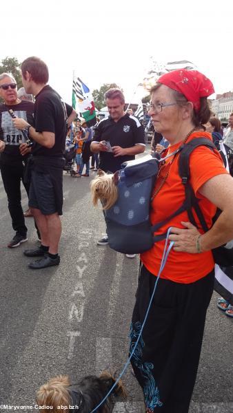 Breizh Manif 2016. Un bébé chien bien installé.