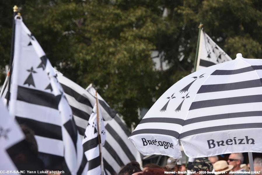 Breizh Manif 2016 e Naoned.