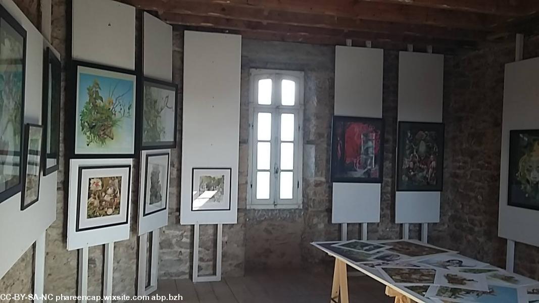 7- L'exposition en cours d'installation.