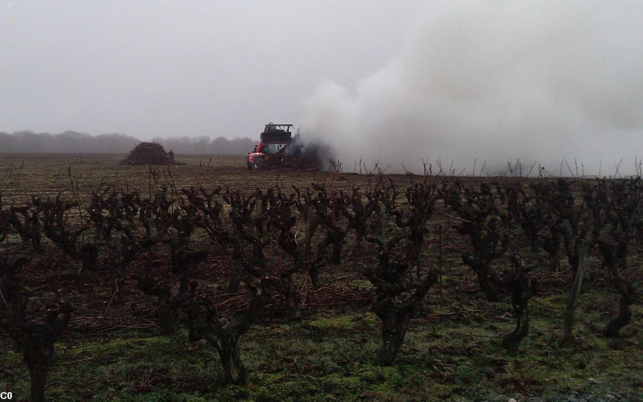 CL (Charente Libre)Du feu dans le Muscadet: anodin?