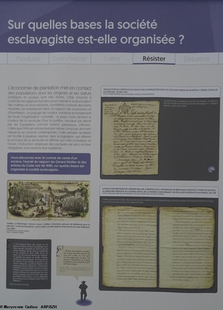 31 Résister. Sur quelles bases la société esclavagiste est-elle organisée ? (panneau 11).