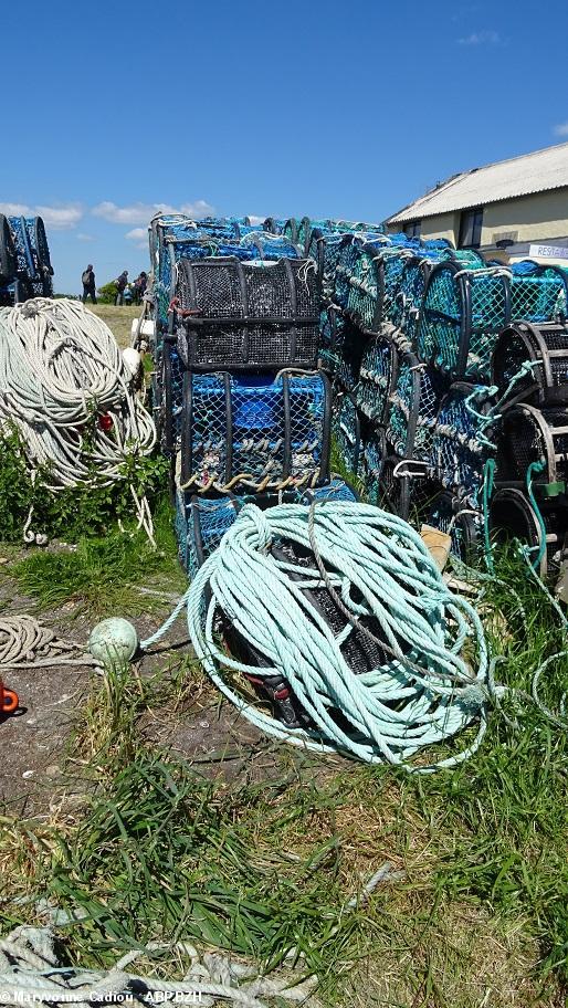 15- La pêche aux crustacés est très pratiquée.