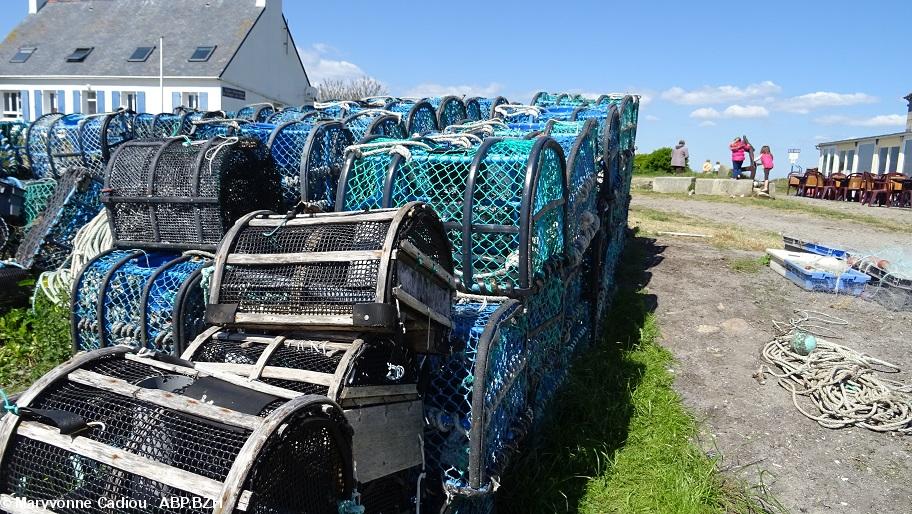 16- Les toiles et filets en synthétique ont remplacé les grillages enduits de goudron des casiers de notre enfance.