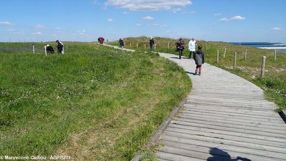 33- Le platelage de bois autour de l'île. À gauche, des piquets blancs !