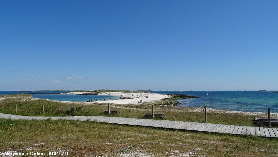 41- Vue du tombolo, recouvert à marée haute, vers l'île Bananec.