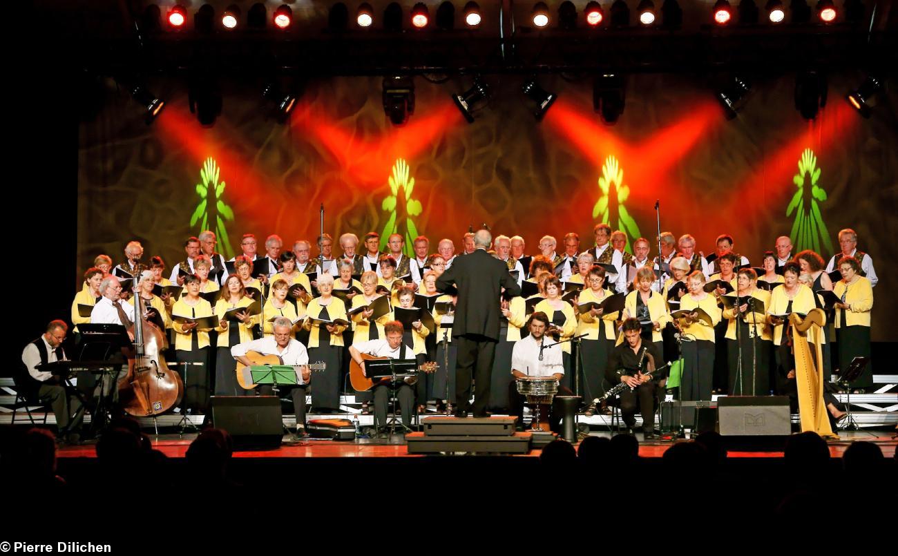 Un ensemble vocal et instrumental réputé en Bretagne