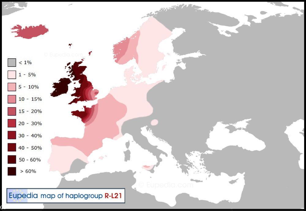 Carte Eupédia du haplogroupe R1b-L1