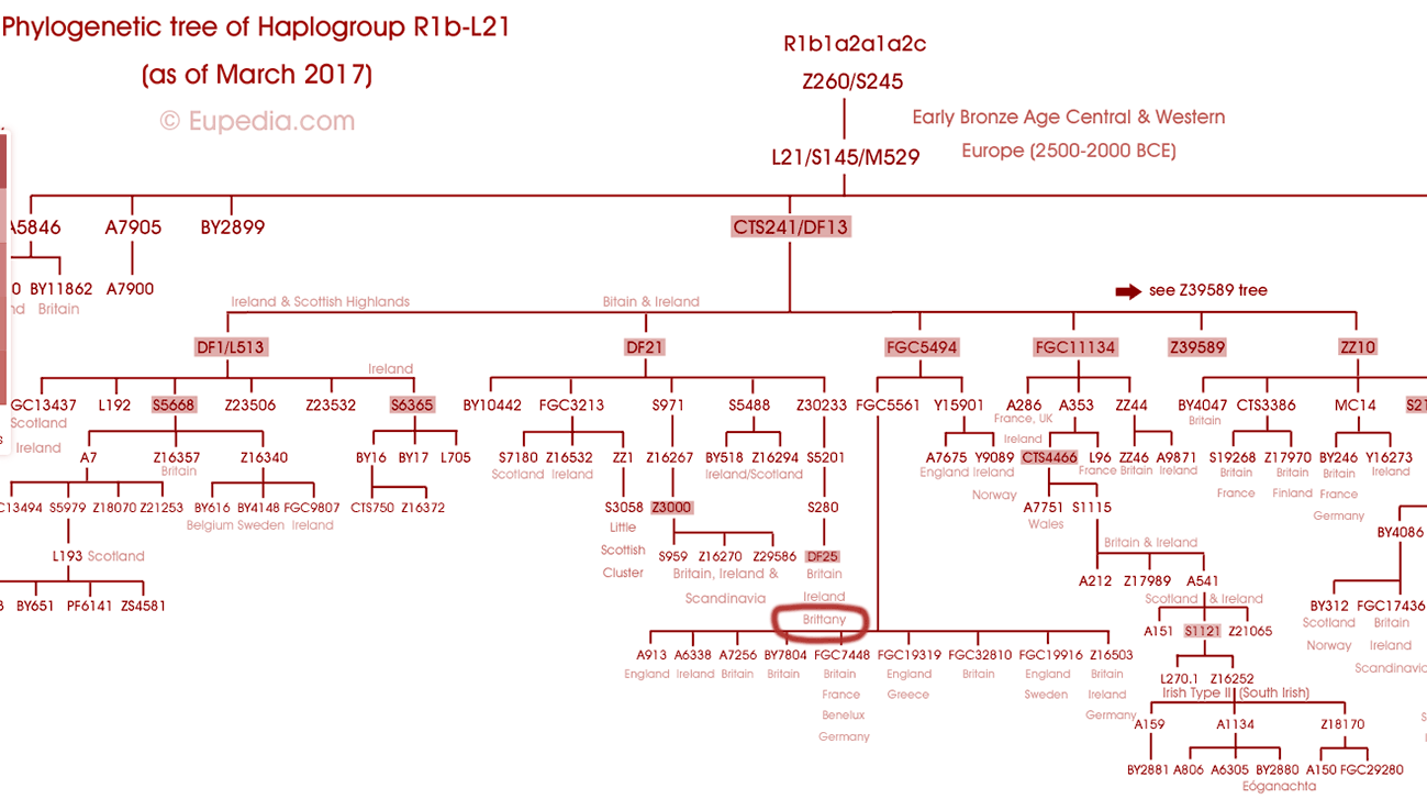 Partie extraite de la carte  phylogenetic de Eupedia pour le haplogroupe R1b-L1.  voir eupedia.com pour la carte compète ainsi que la carte du haplogroupe proto celte R1 qui couvre toute l'Europe et va jusqu'en Chine avec une source ou une extension en Afrique noire.