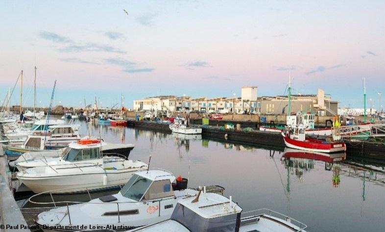 6- Port de La Turballe en 2017.