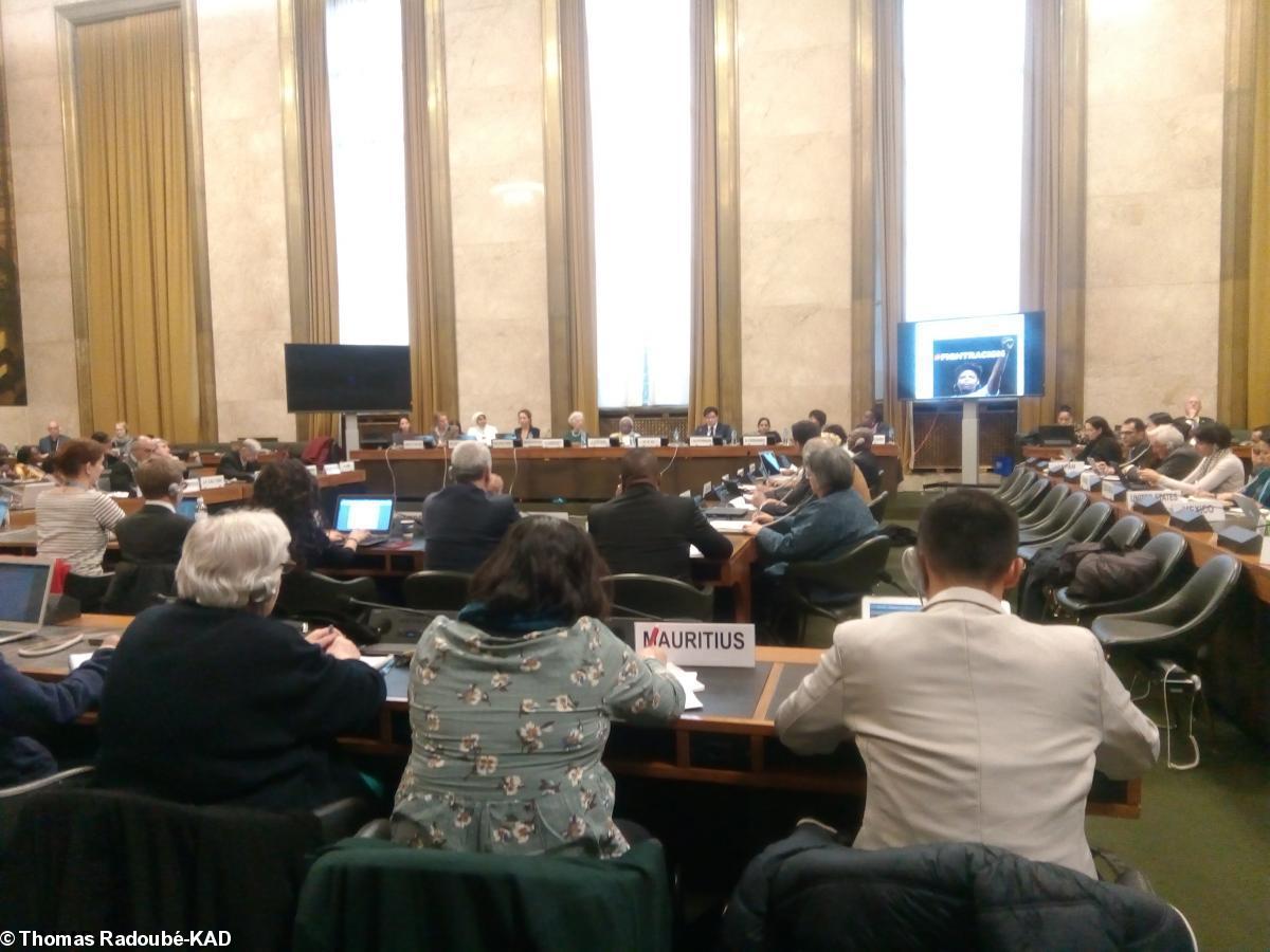 UN in Geneva, 10th Minority Forum. (Partial view)