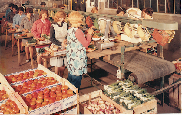 Une production de qualité à taille humaine (photo SOLARENN)