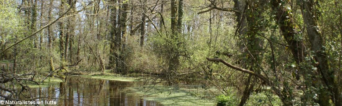 À Notre-Dame des Landes, la nature.