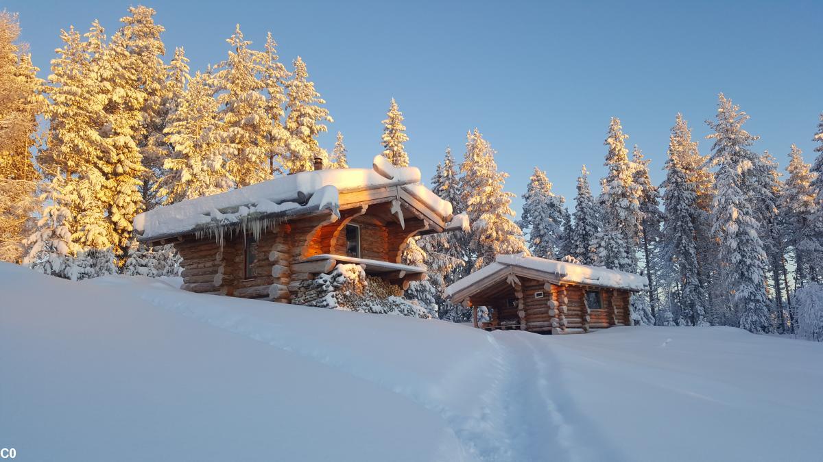 Nos chalets en rondins