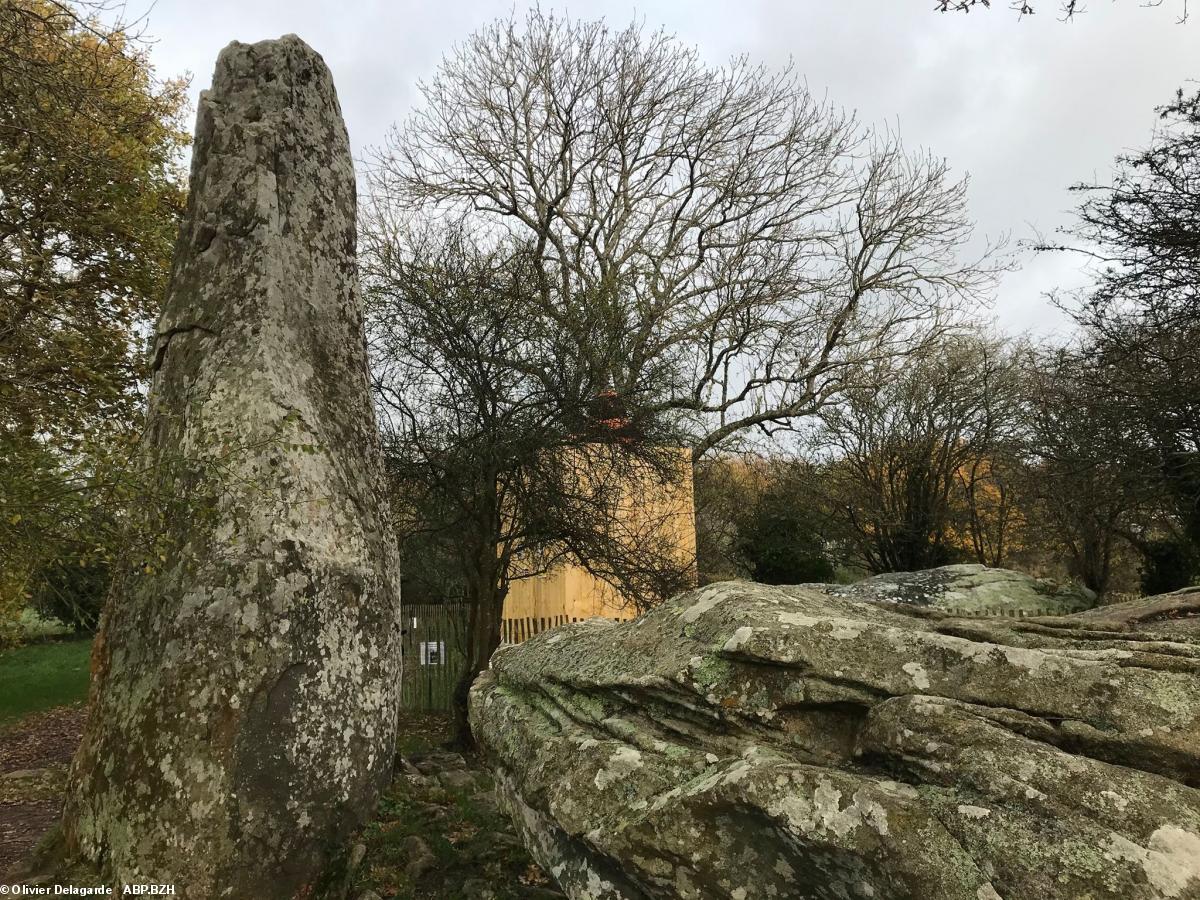 Cloitré depuis début octobre, rien n'a bougé...