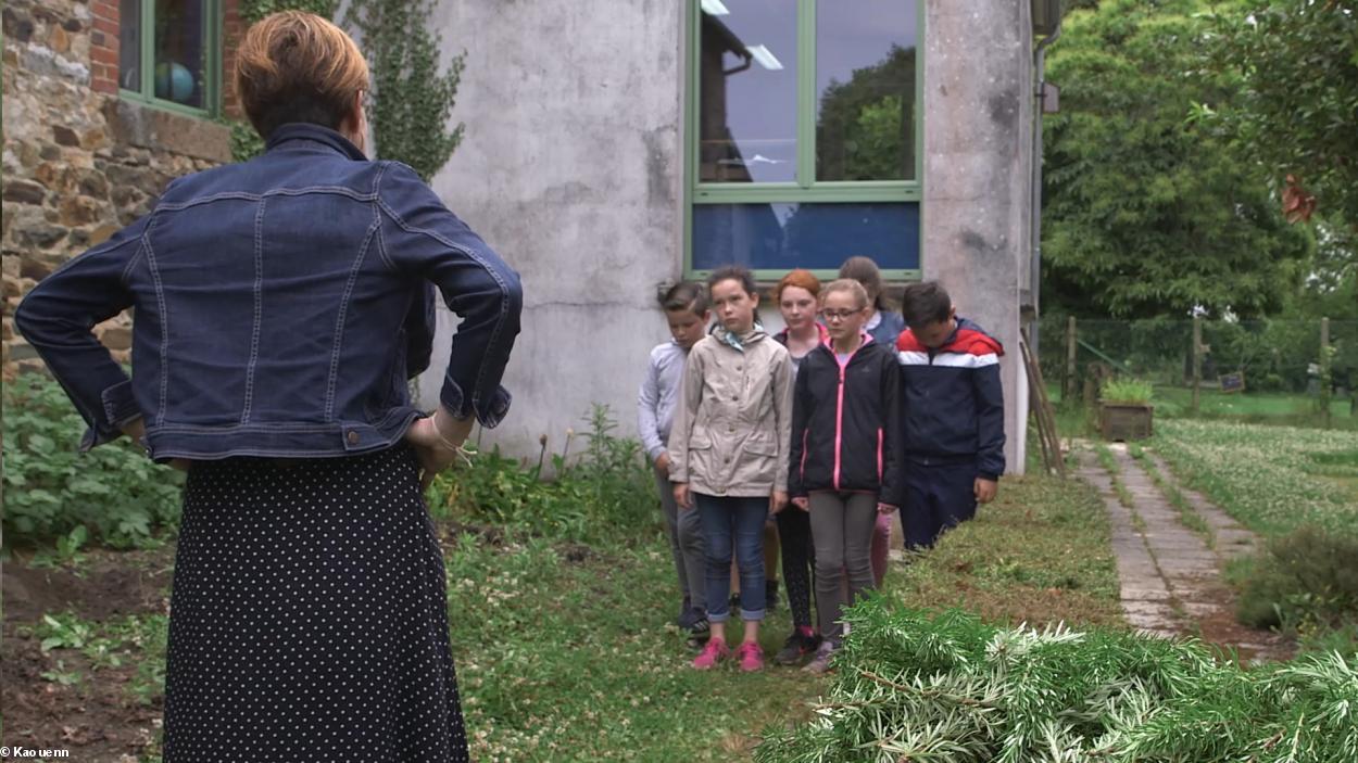 La boéte, film e gallaoueg