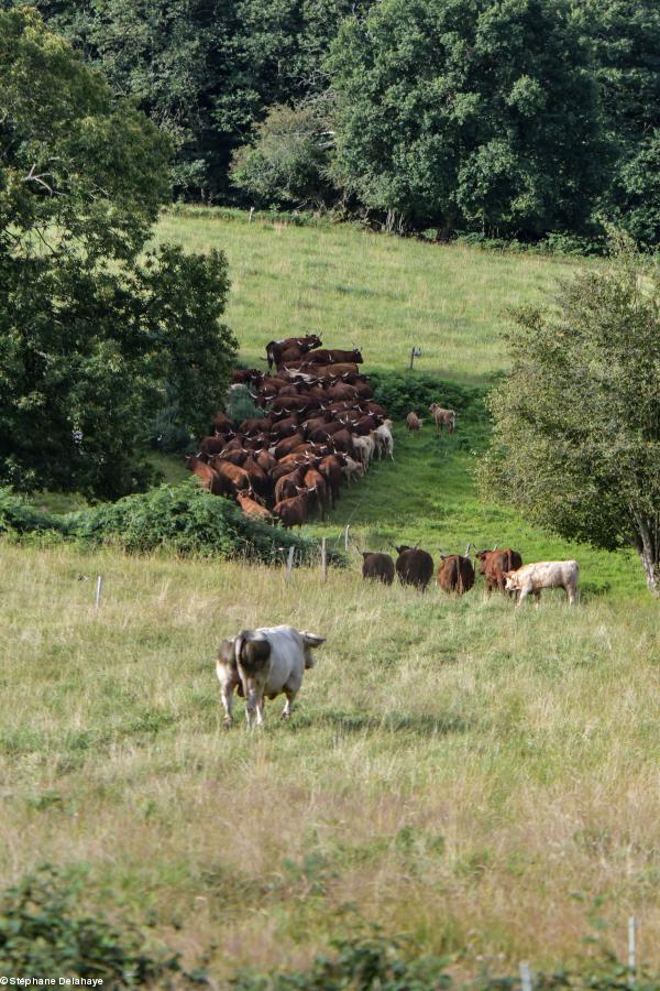 Un bout de la vallée qui donne son nom à la fermer.