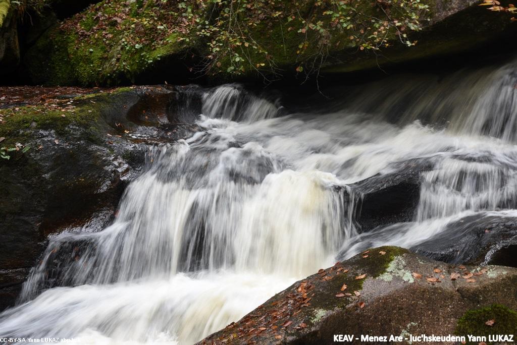 Menez Are / Monts d'Arrée. Torrent en automne.