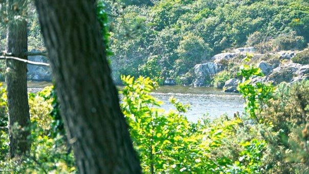 réserve Natura2000 de Trenvel au nord de la commune de Tréguennec.