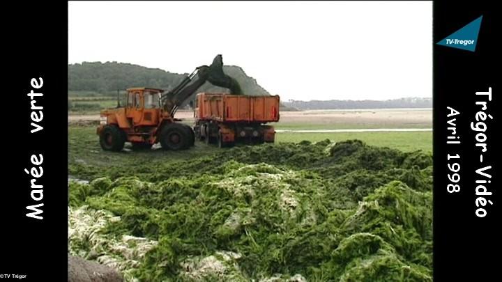 Nettoyage de la plage avec pelleteuse