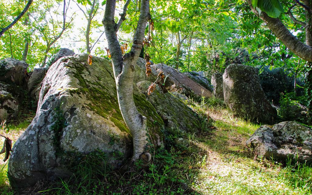 Le parc des Druides à Kertugal